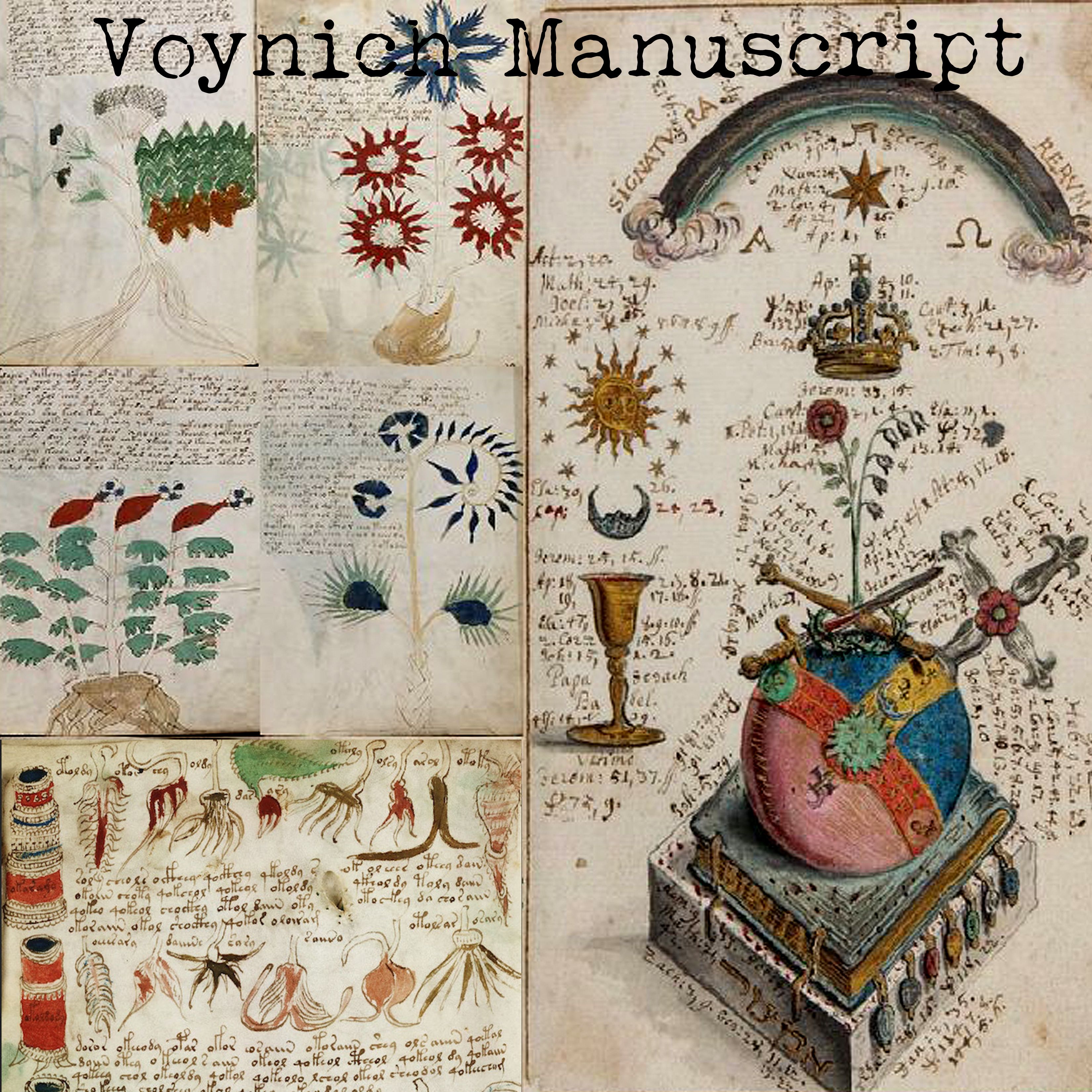 Voynich Manuscript Pdf
